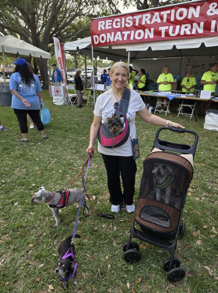 Sembler-SPCA-Pet-Walk Sembler Employees Supporting SPCA Pet Walk